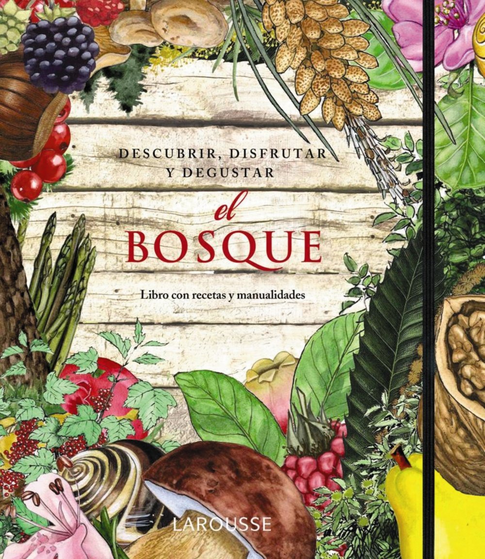 El bosque / The Forest