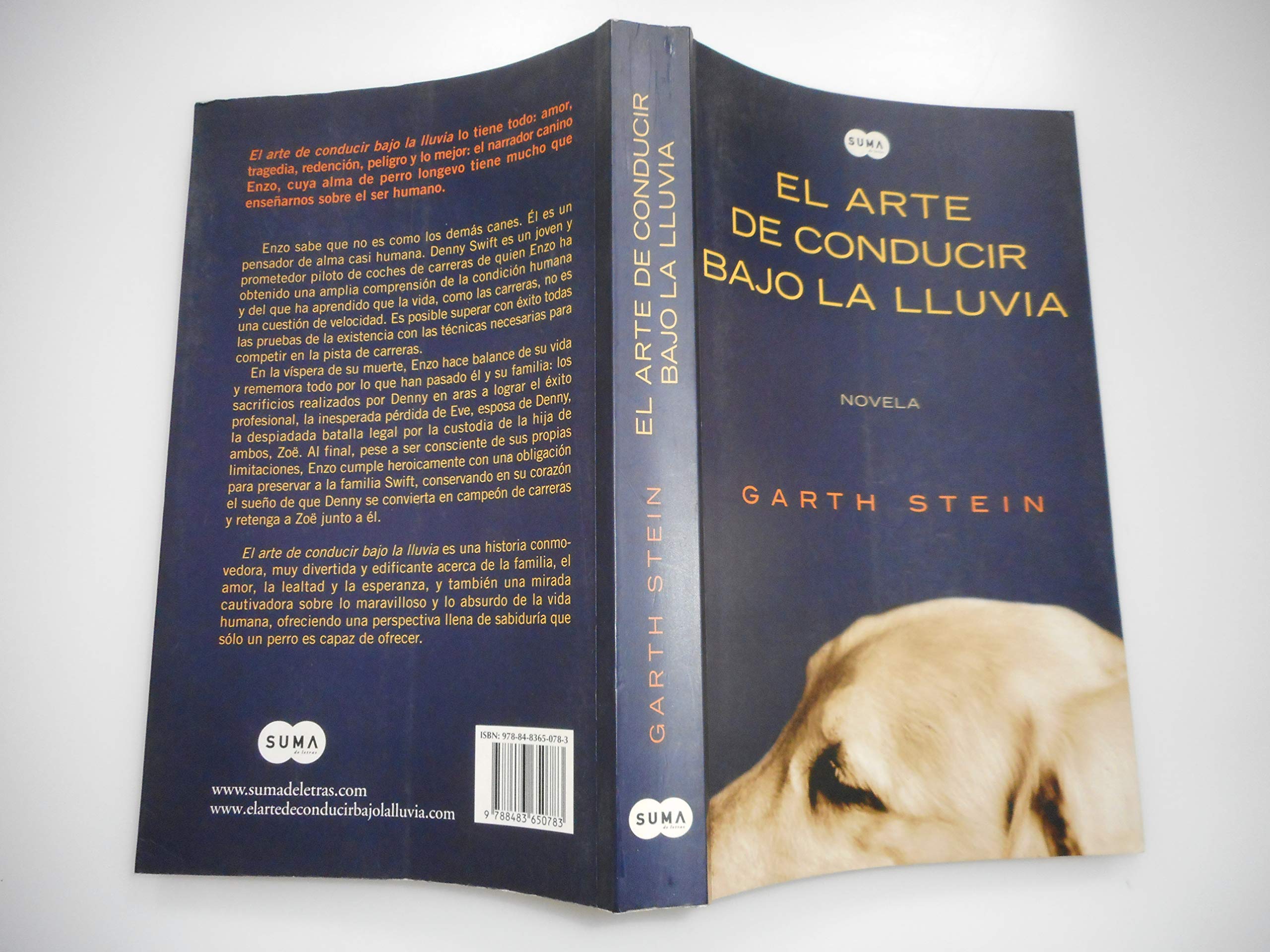 ARTE DE CONDUCIR BAJO LA LLUVIA (SIN COLECCION)