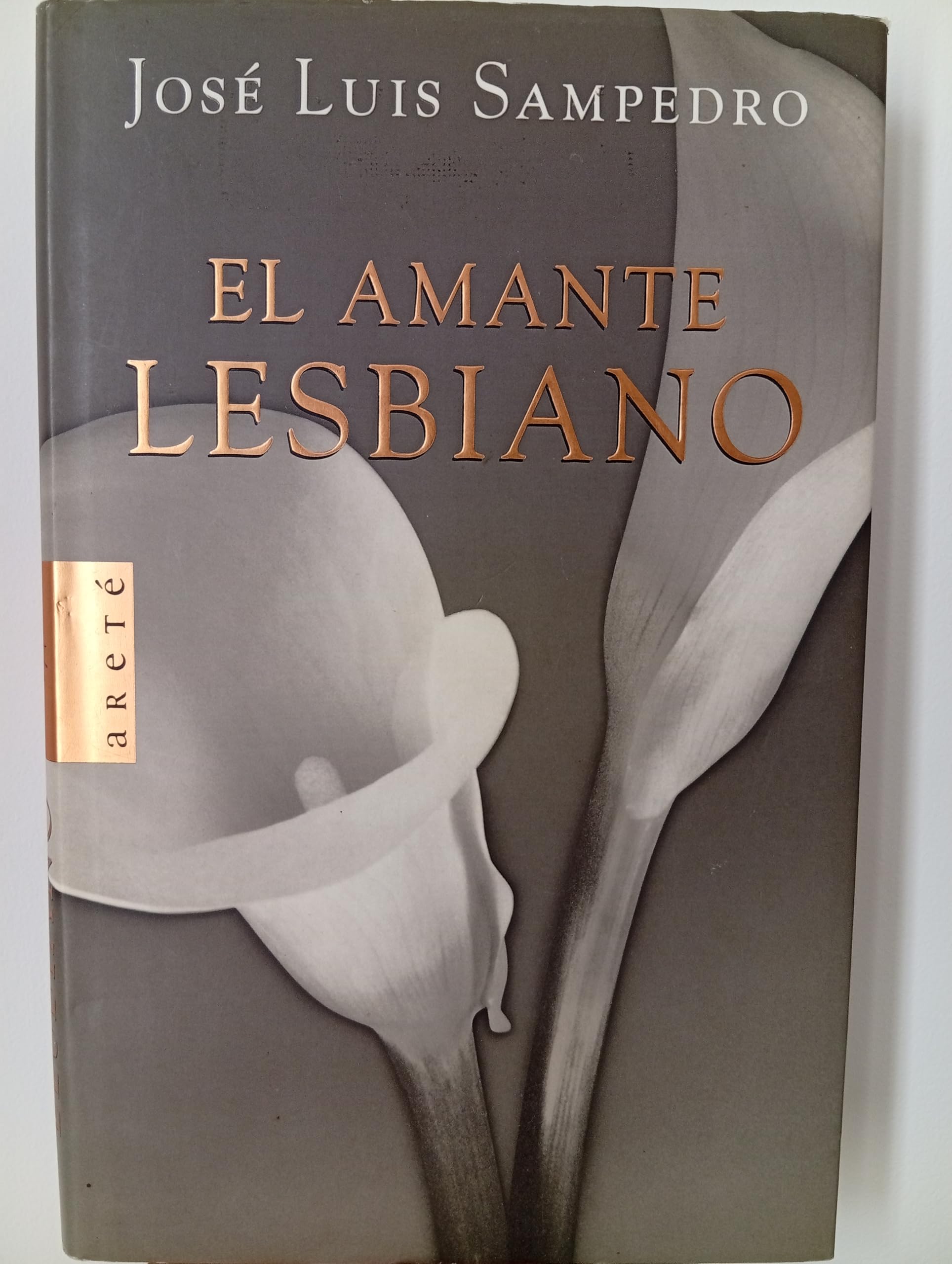 AMANTE LESBIANO,EL (SIN COLECCION)