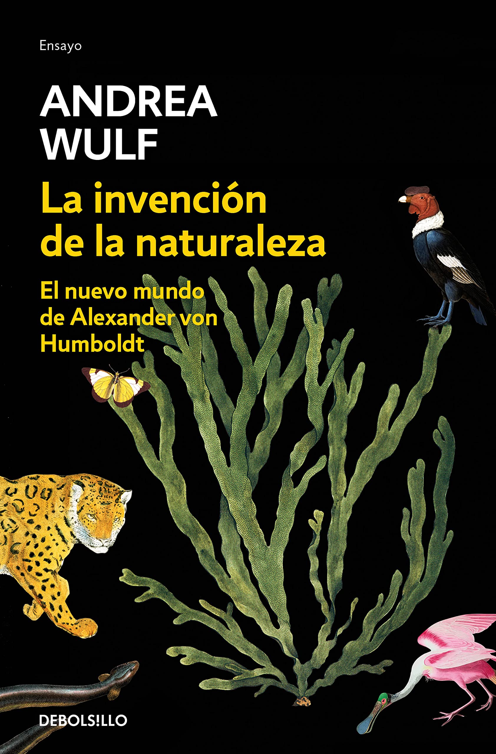 La invención de la naturaleza: El nuevo mundo de Alexander Von Humbolt / The Invention of Nature: Alexander Von Humbolt's New World (Ensayo | Ciencia)