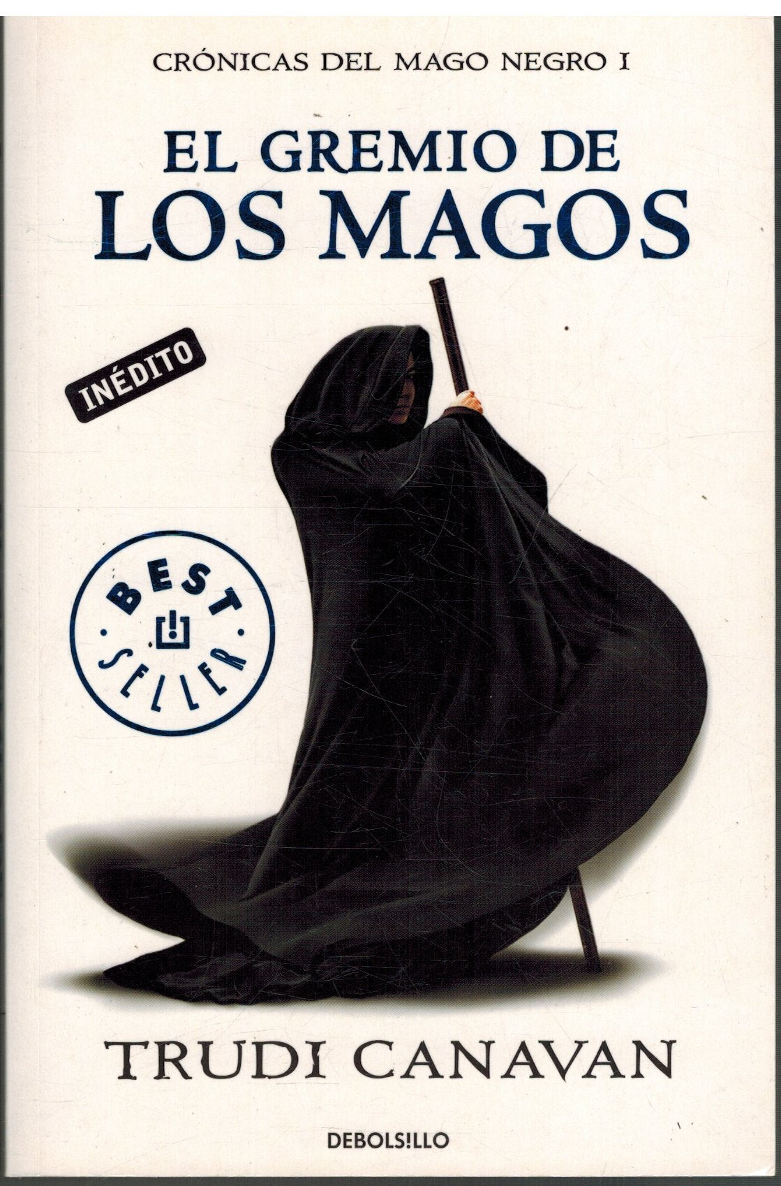 El gremio de los magos: Crónicas del Mago Negro 1