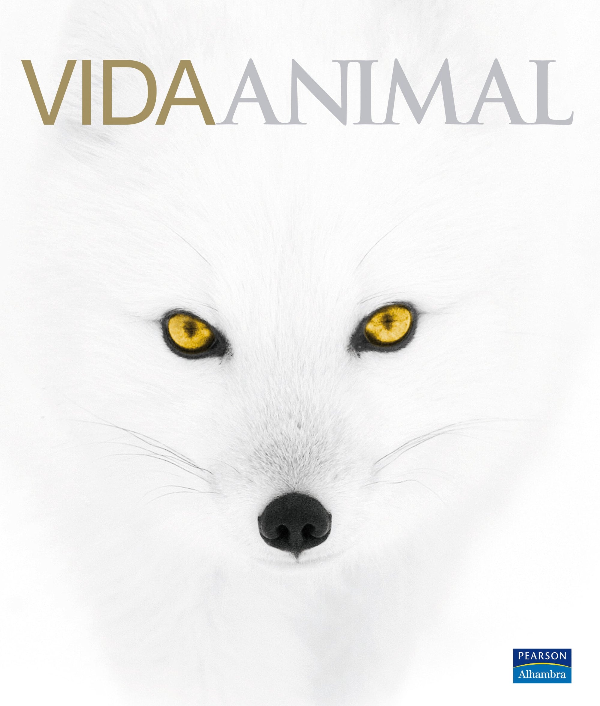Grandes de alhambra: vida animal