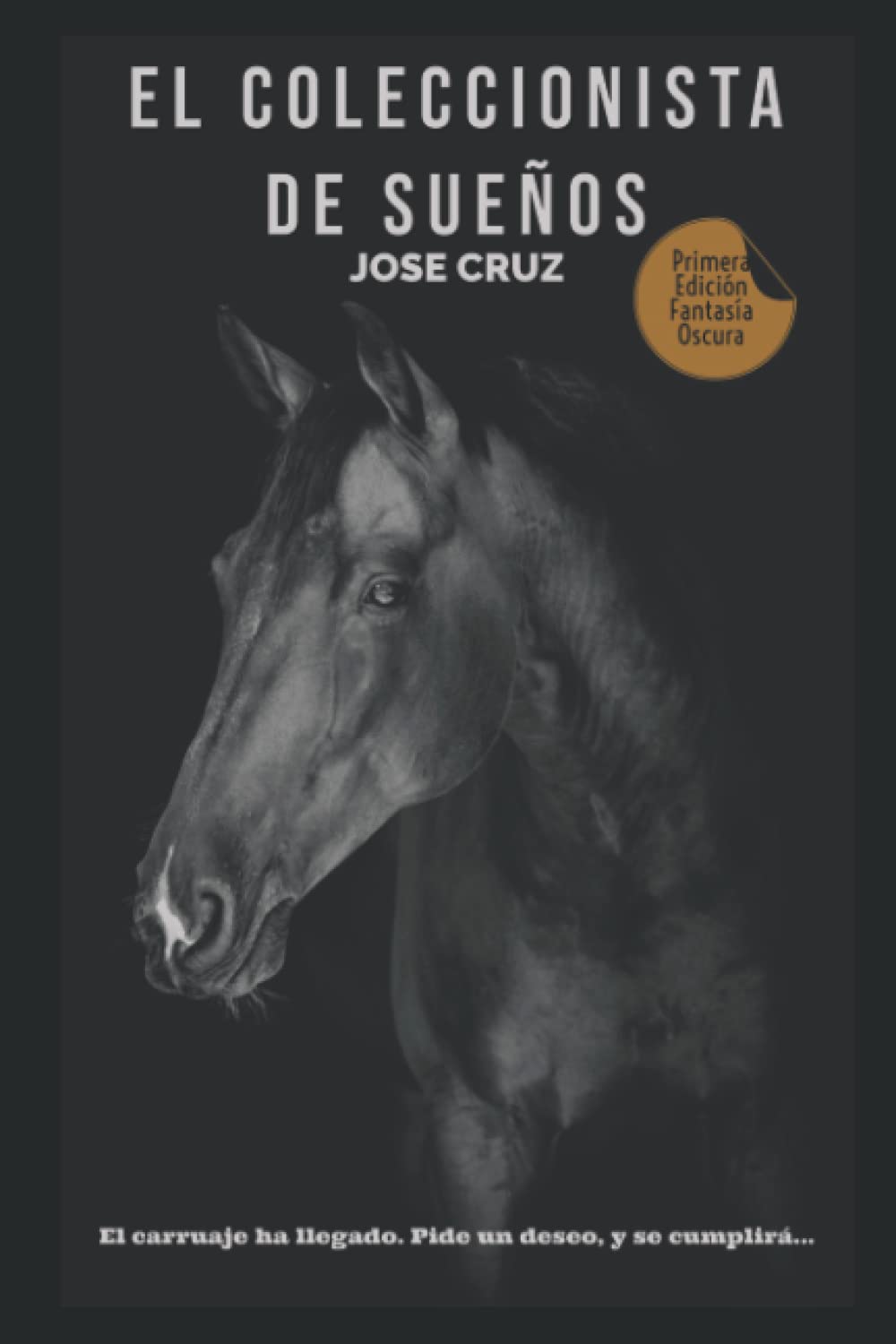 El coleccionista de sueños