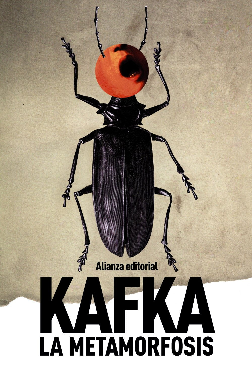La metamorfosis (El libro de bolsillo - Bibliotecas de autor - Biblioteca Kafka)