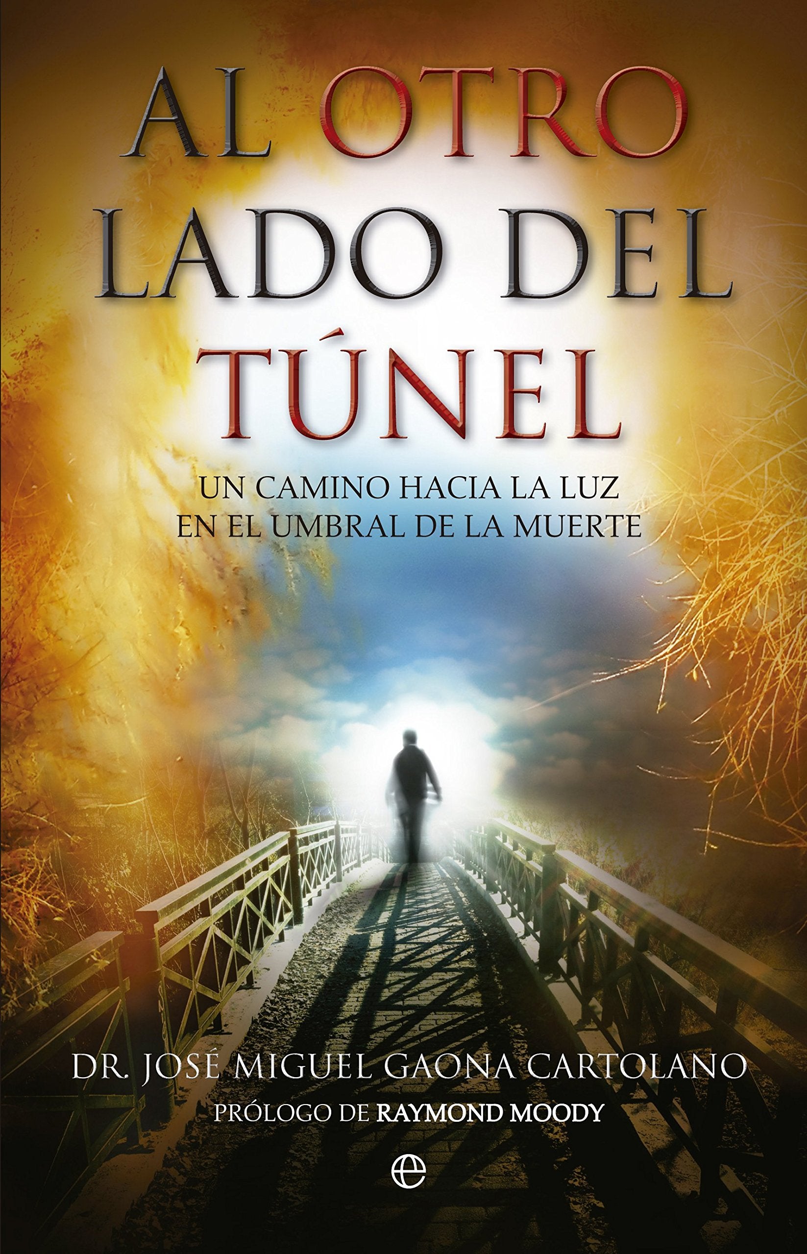 Al otro lado del túnel : un camino hacia la luz en el umbral de la muerte