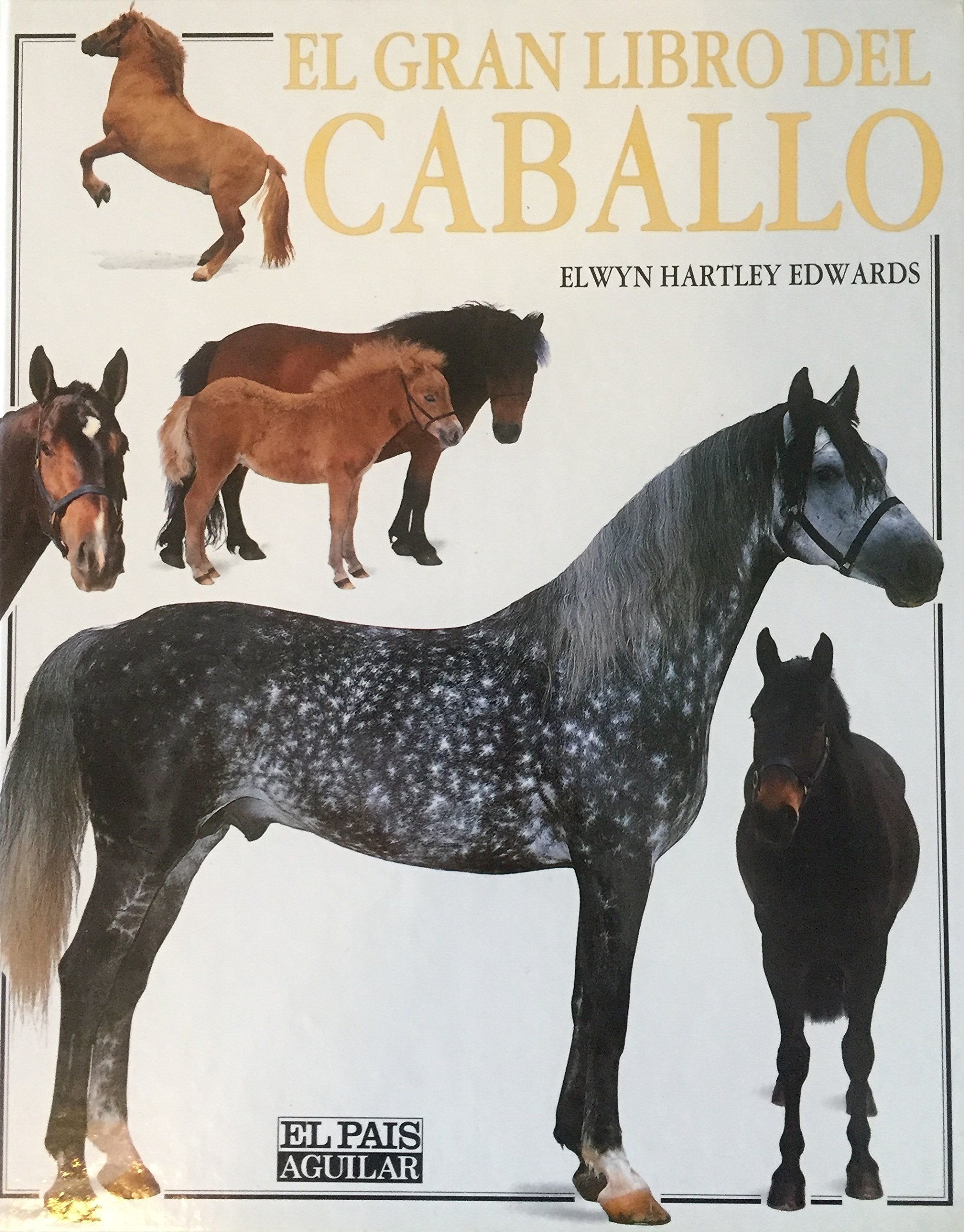 El gran libro del caballo