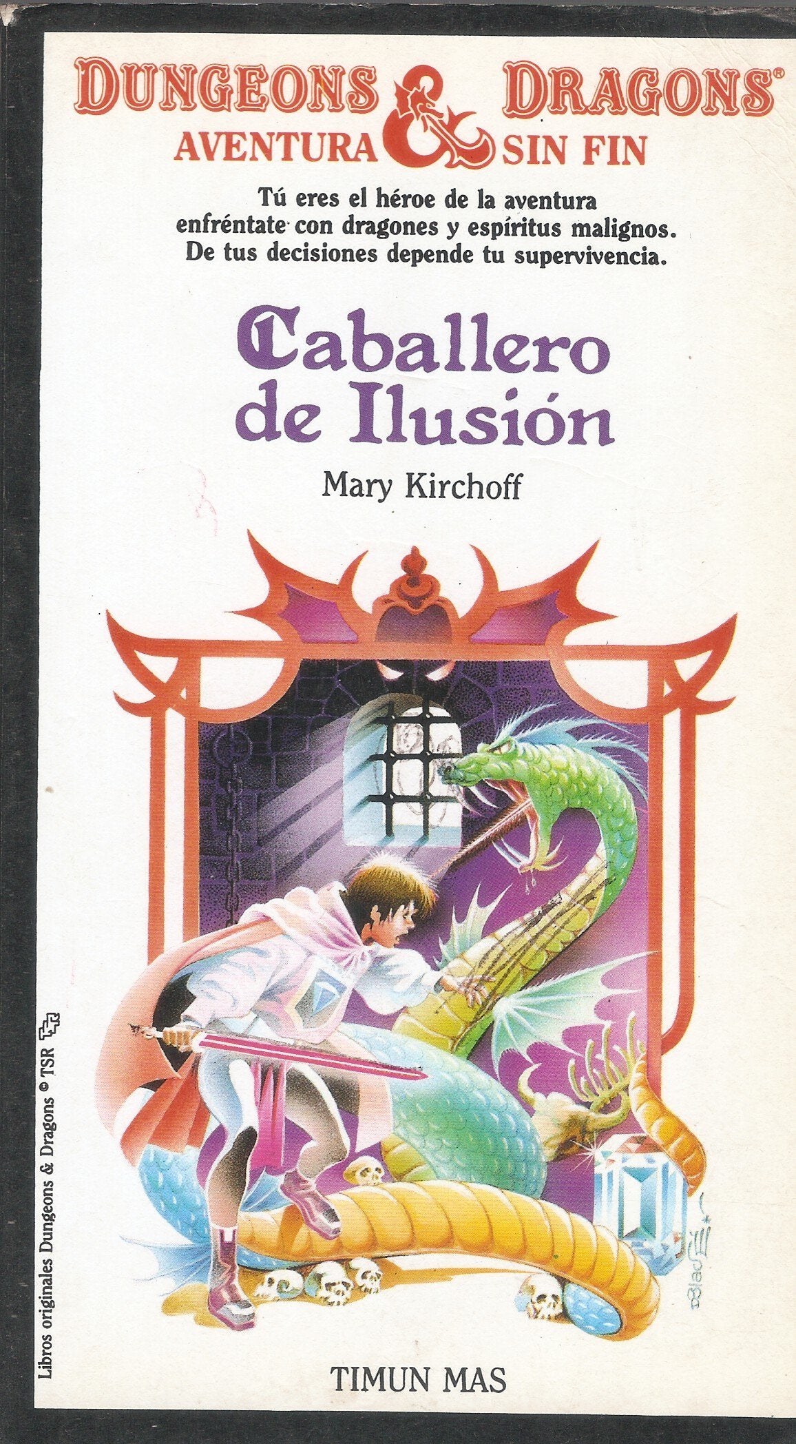 Caballero de ilusion