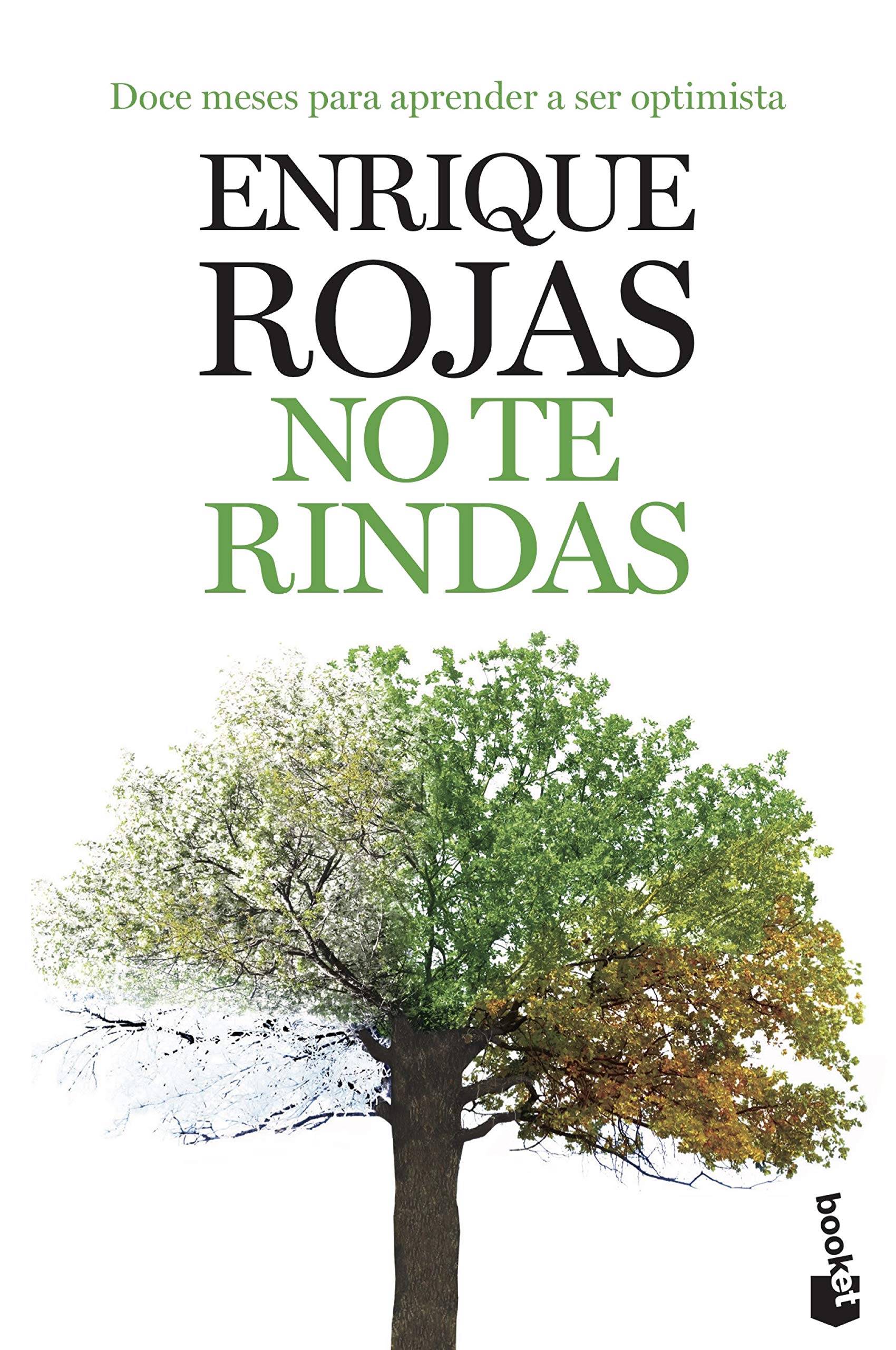 No te rindas: Doce meses para aprender a ser optimista (Vivir Mejor)