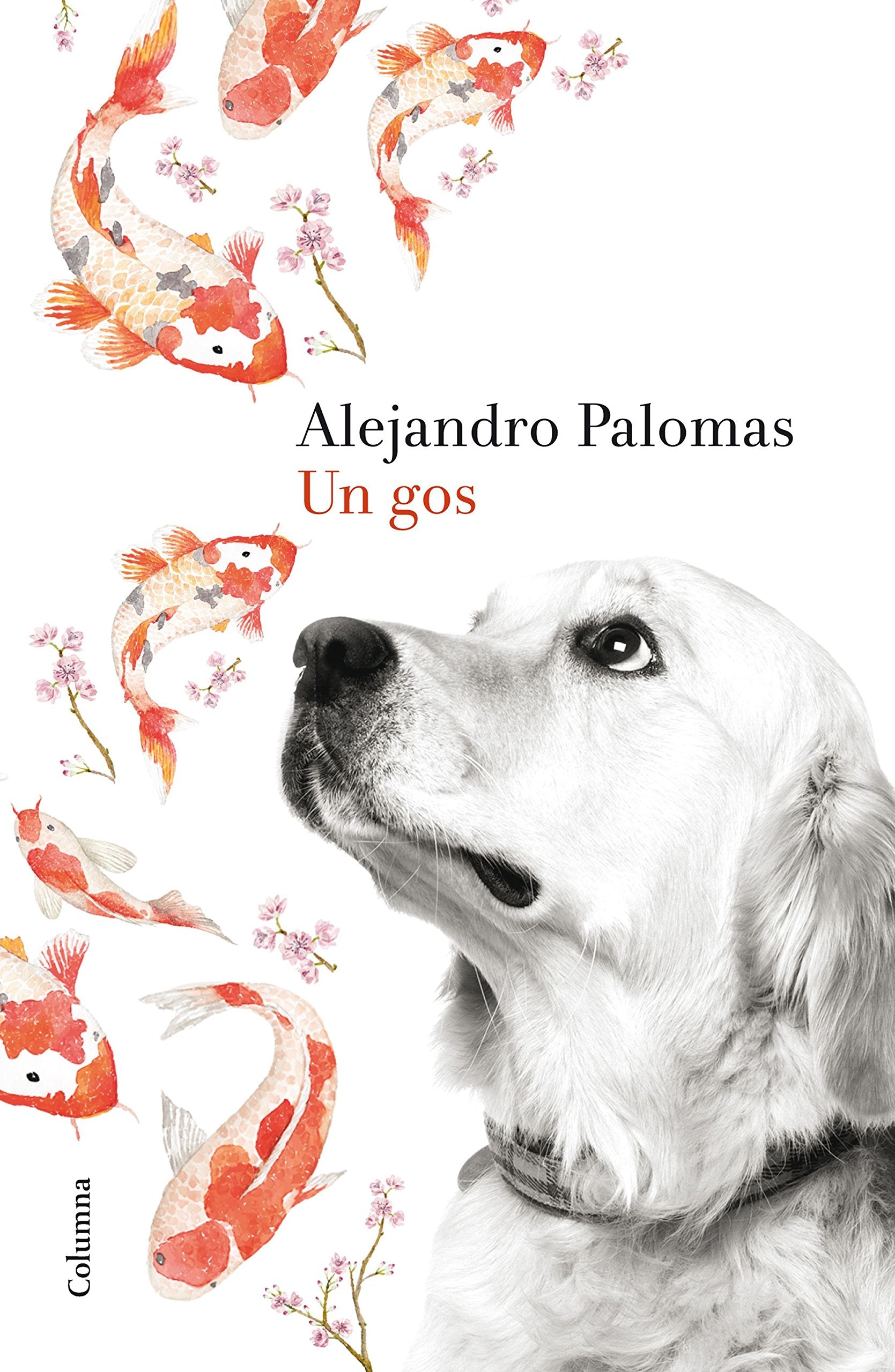 Un gos: 2 (Clàssica)