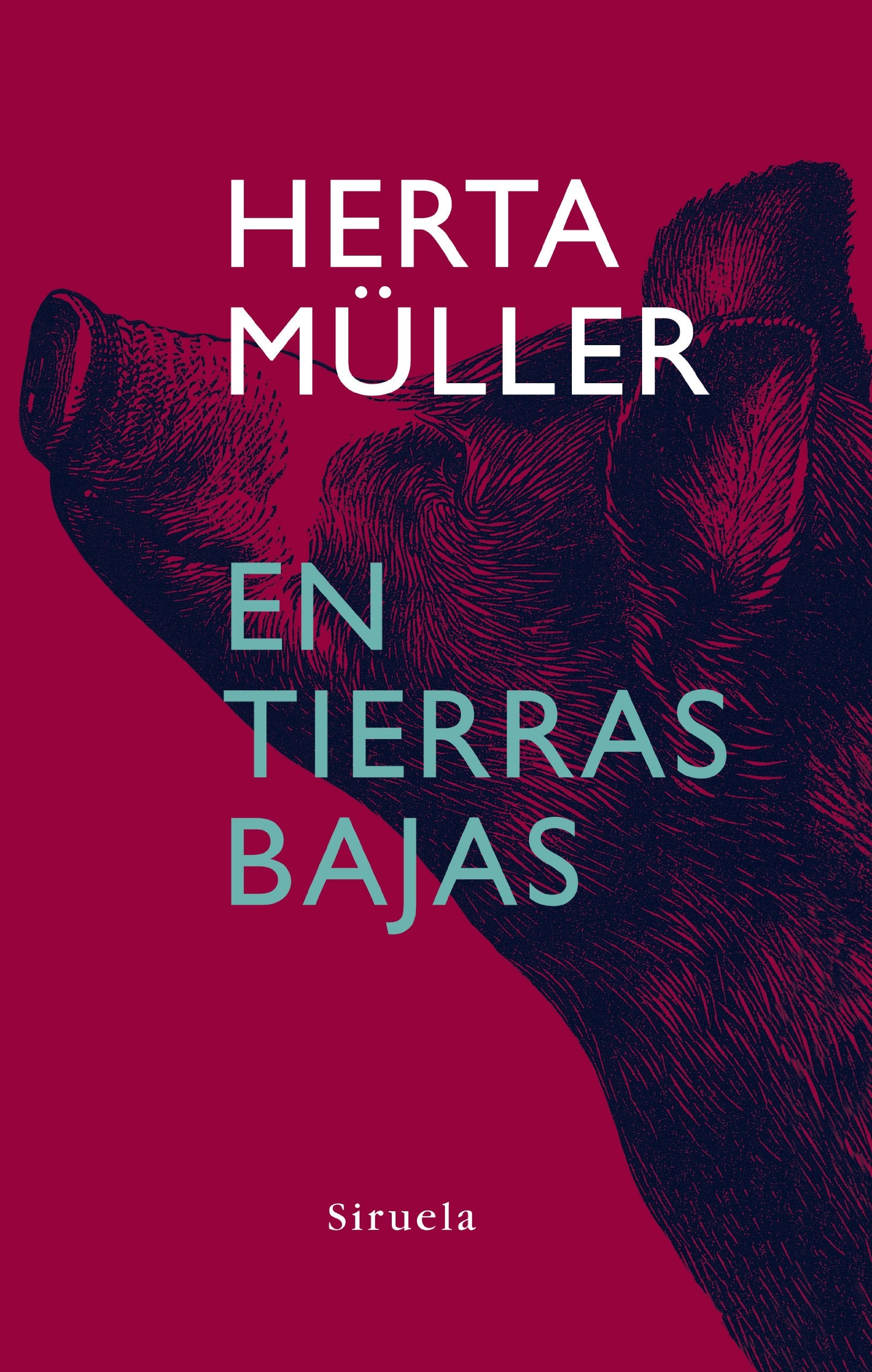 En tierras bajas: 250 (Libros del Tiempo)