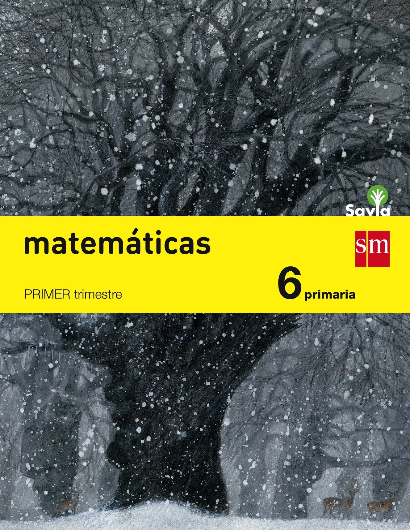 Matemáticas, 6o Primaria