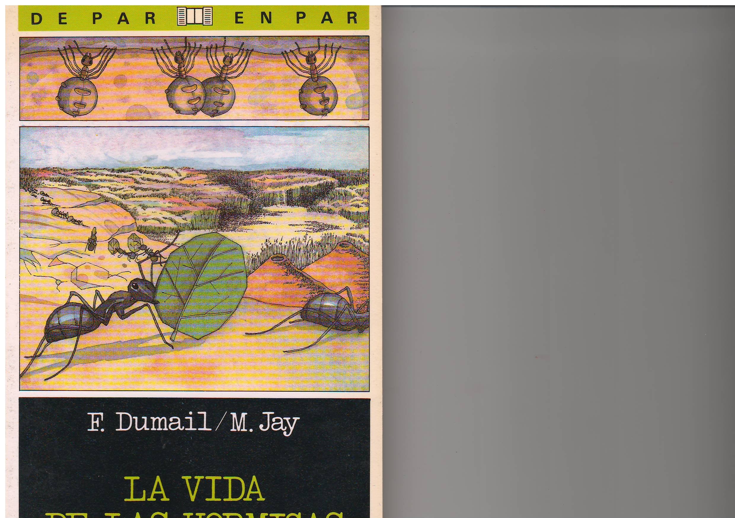 Vida de las hormigas la