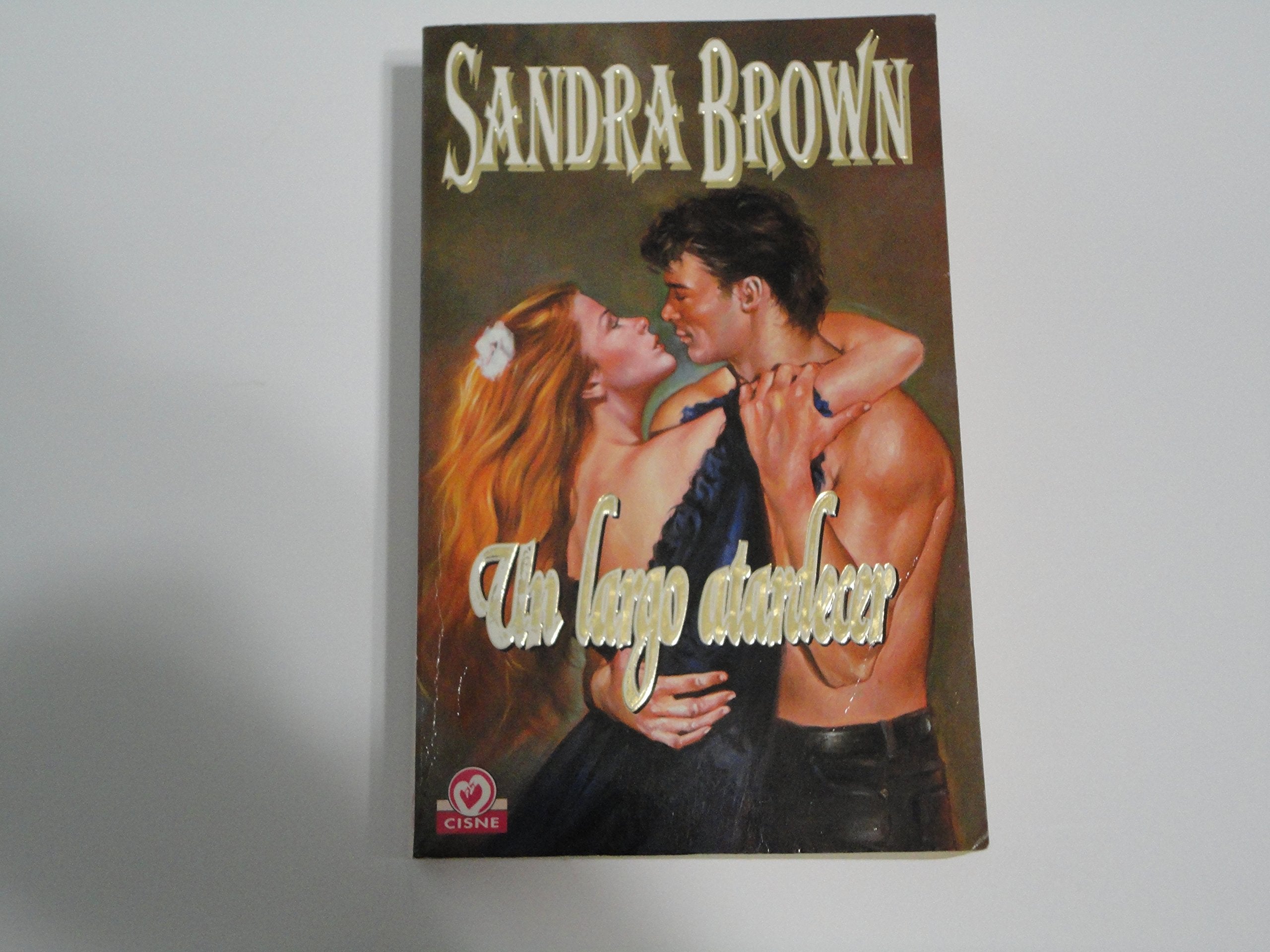 Un largo atardecer / Sunset Embrace (Saga de la Familia Coleman / Coleman Family Saga, 1)