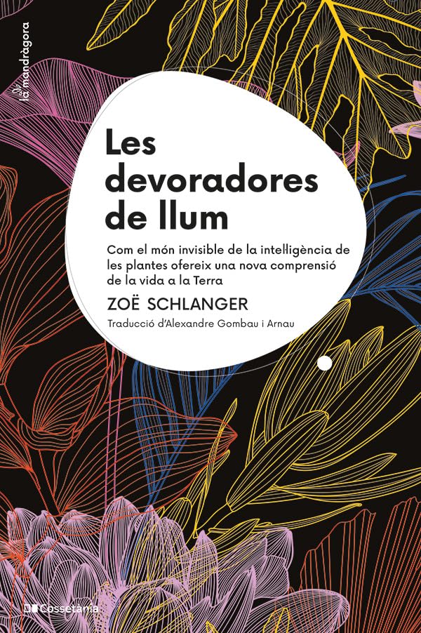 Les Devoradores De Llum: Com el món invisible de la intel·ligència de les plantes ofereix una nova comprensió de la vida a la Terra: 26 (La Mandràgora)