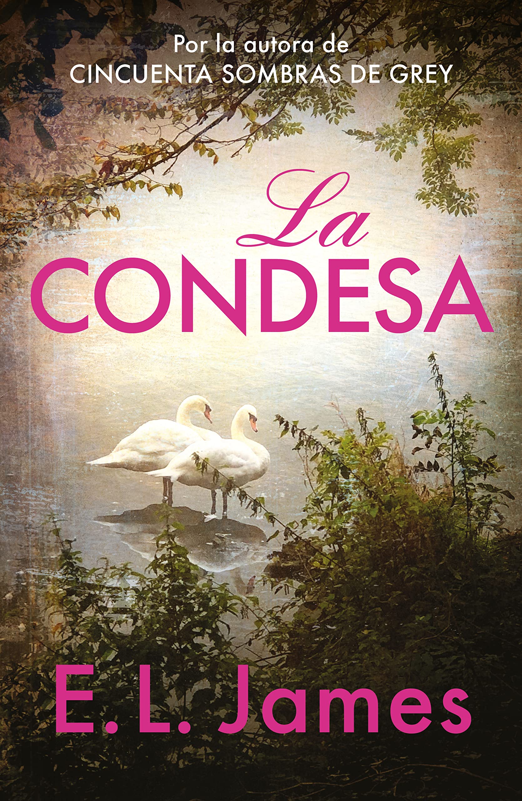 La condesa (Mister 2) (Ficción)