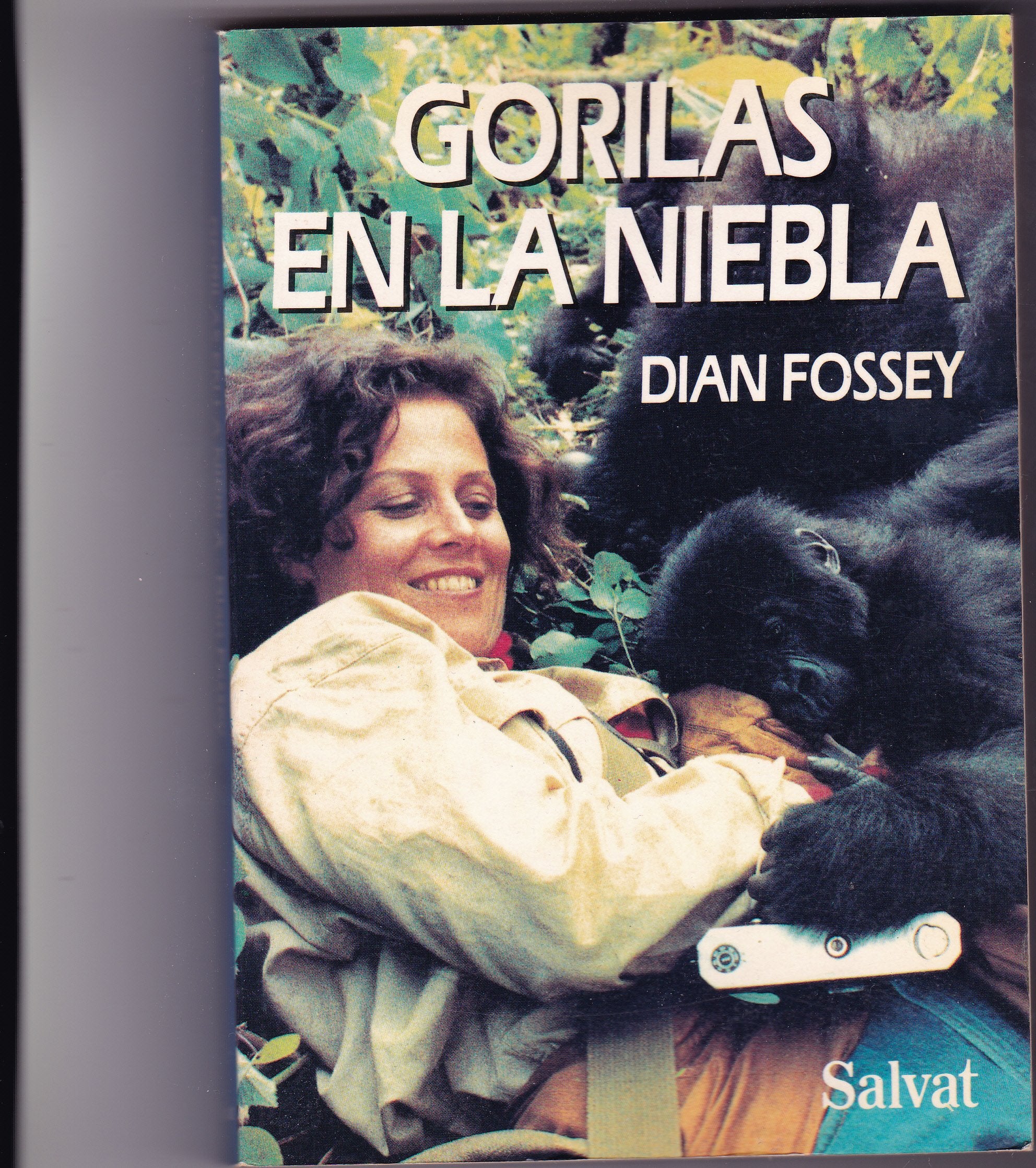 Gorilas En La Niebla