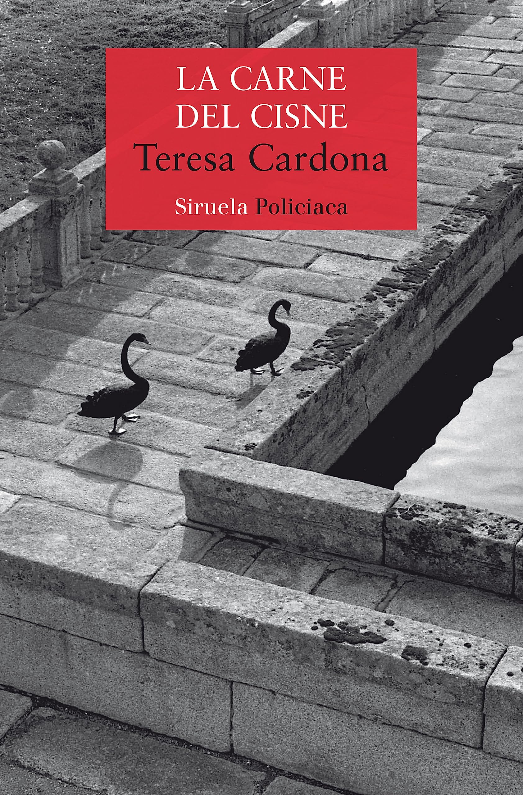 La carne del cisne: Serie de Blecker y Cano 3 (Nuevos Tiempos / Policiaca)