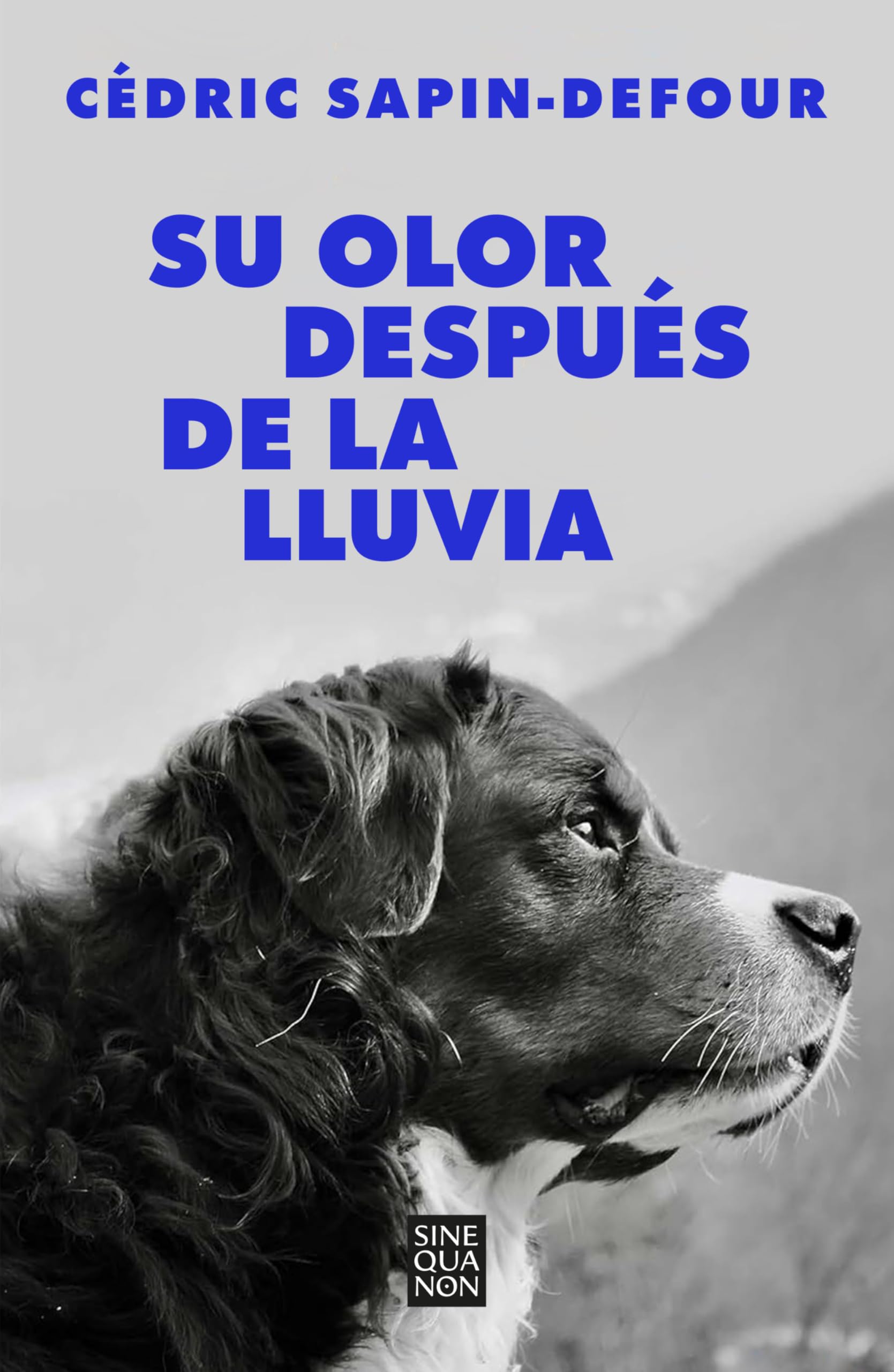Su olor después de la lluvia (Sine Qua Non)