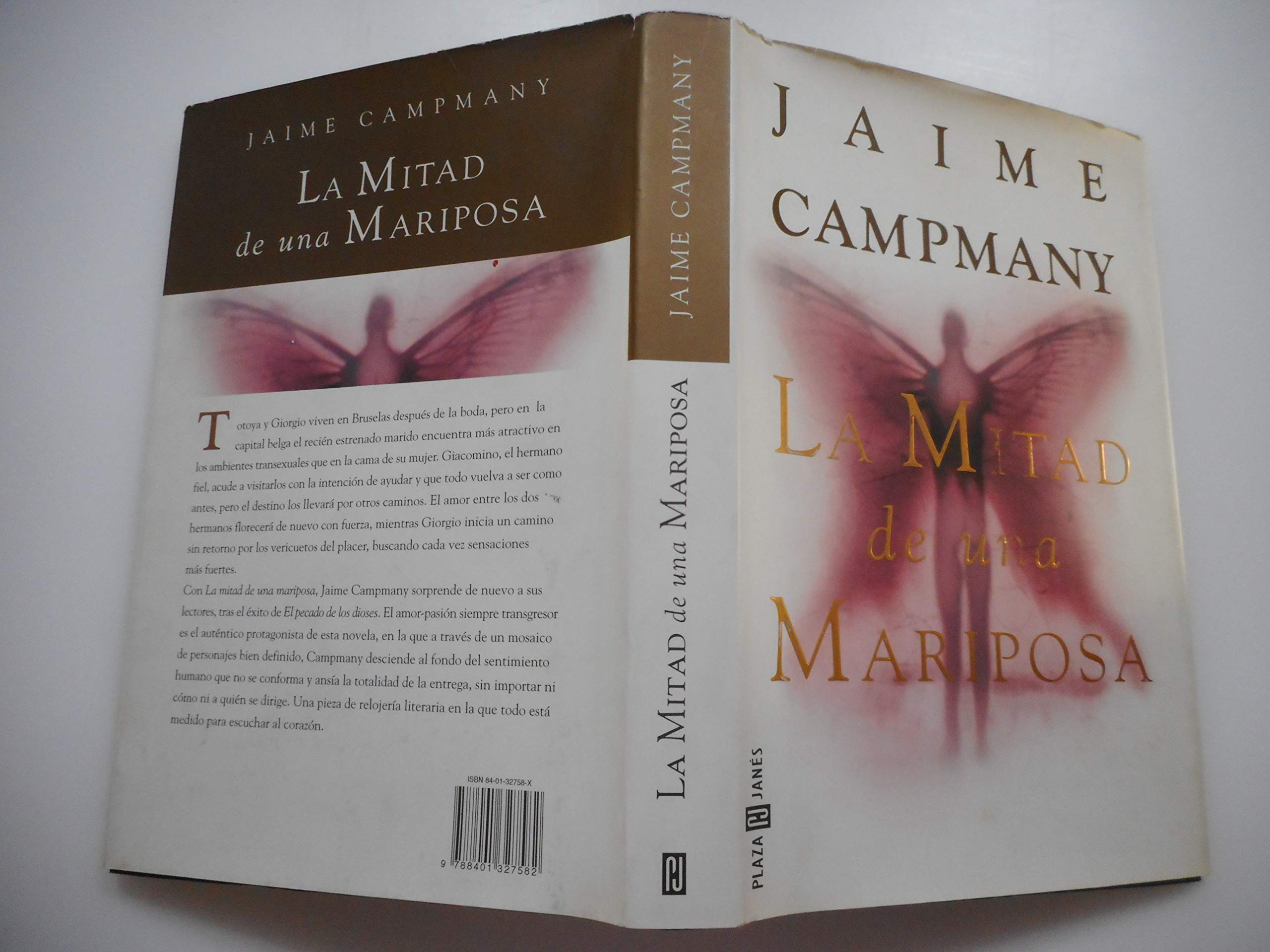 La mitad de una mariposa