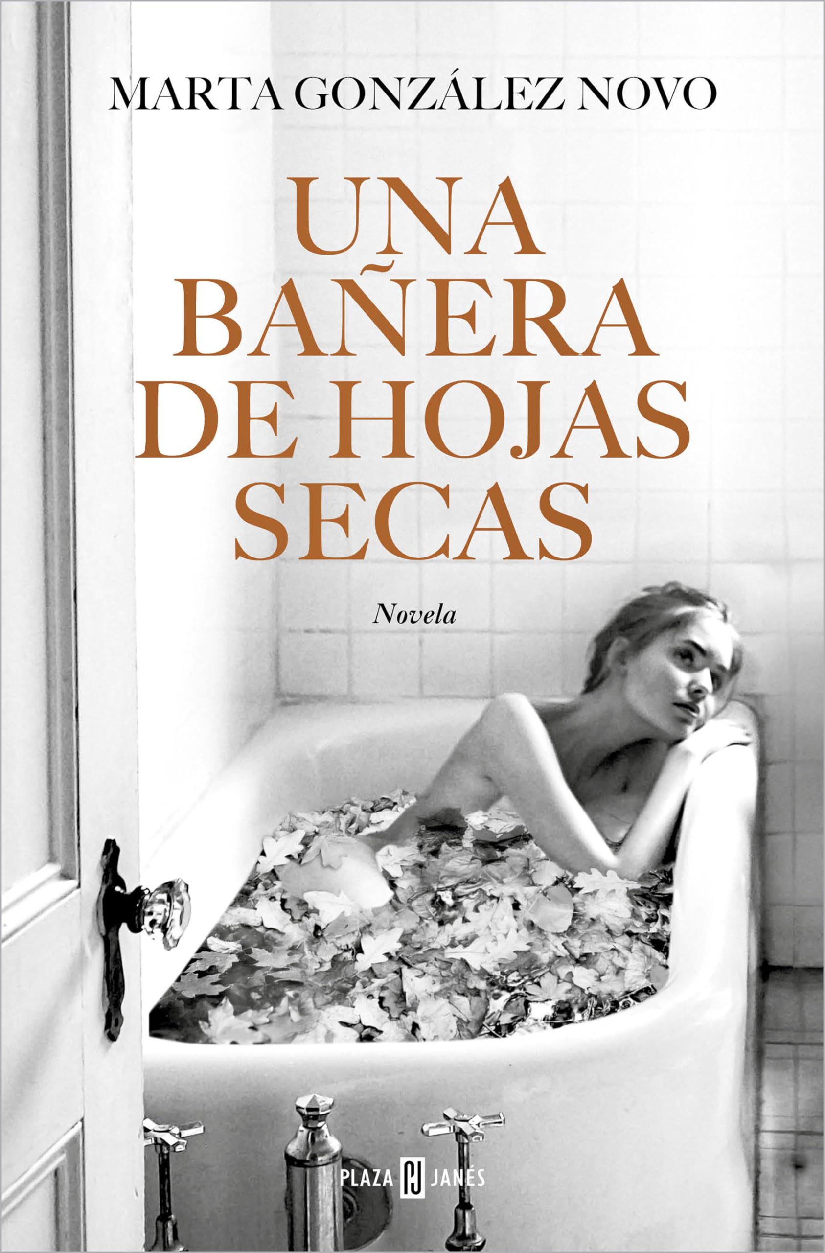 Una Bañera Con Hojas Secas