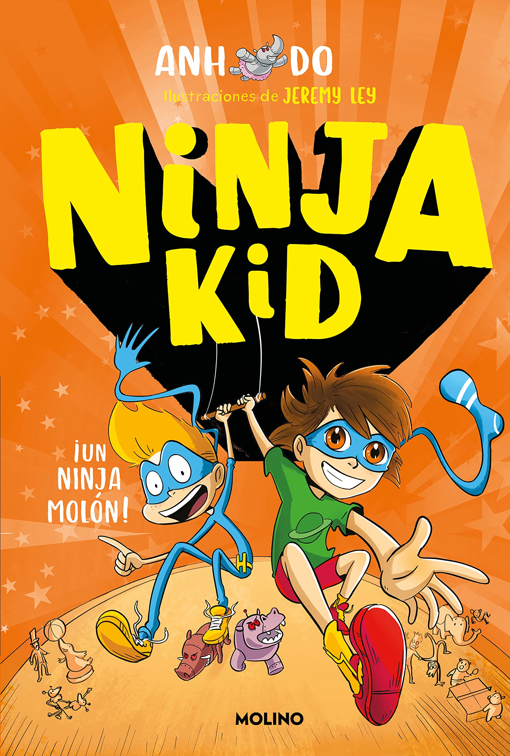 ¡Un ninja molón!