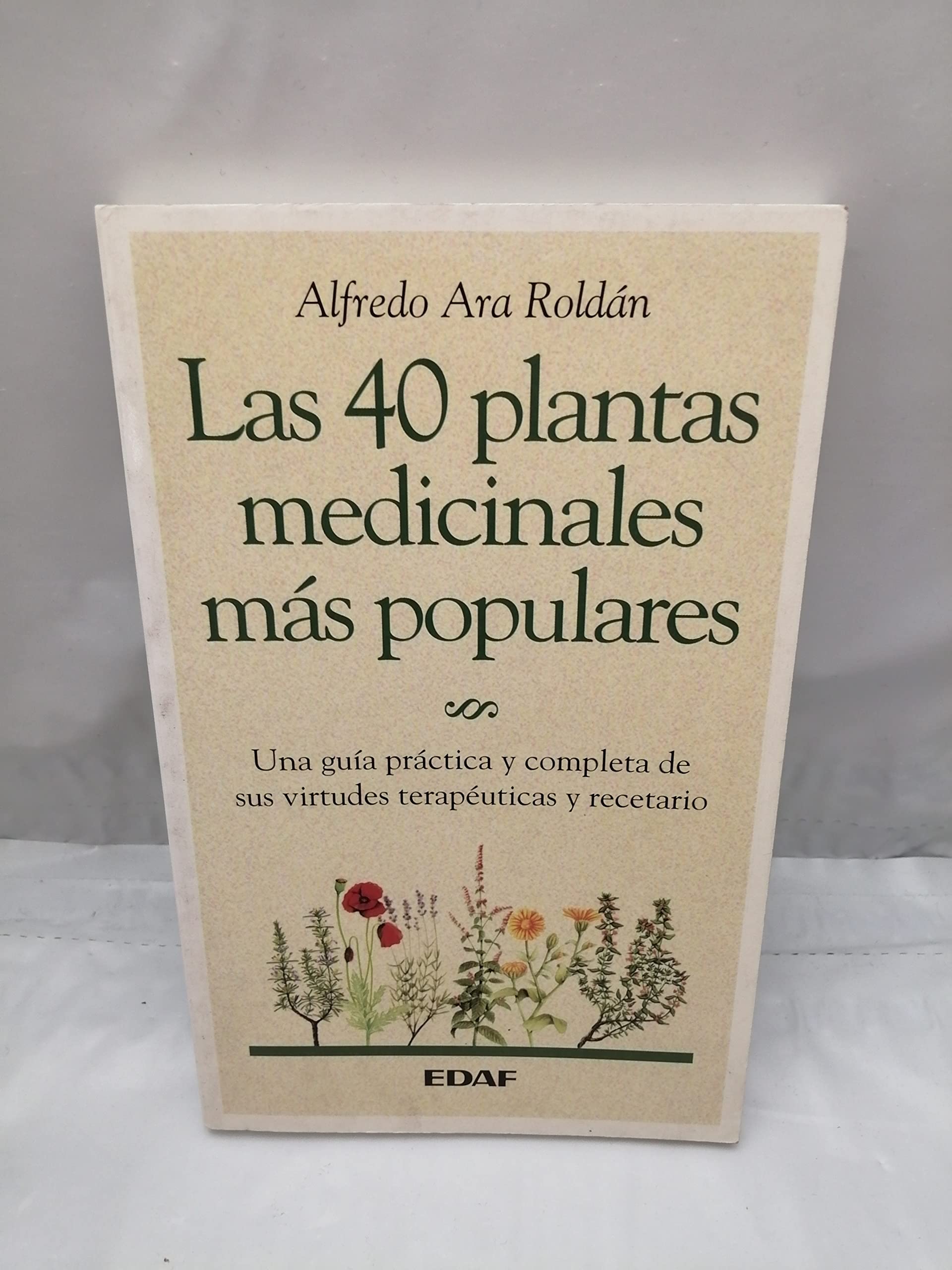 Las 40 plantas medicinales más populares