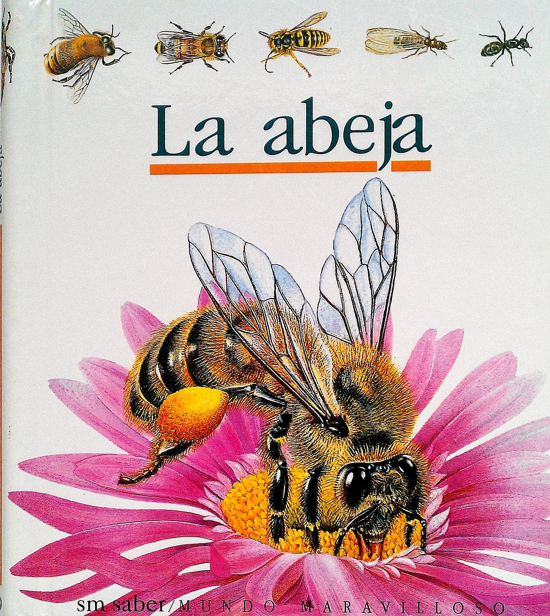 La abeja: 19 (Mundo maravilloso)