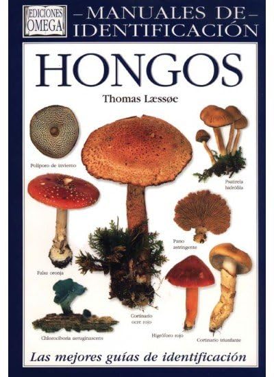 Hongos
