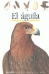 El águila: 25 (Mundo maravilloso)