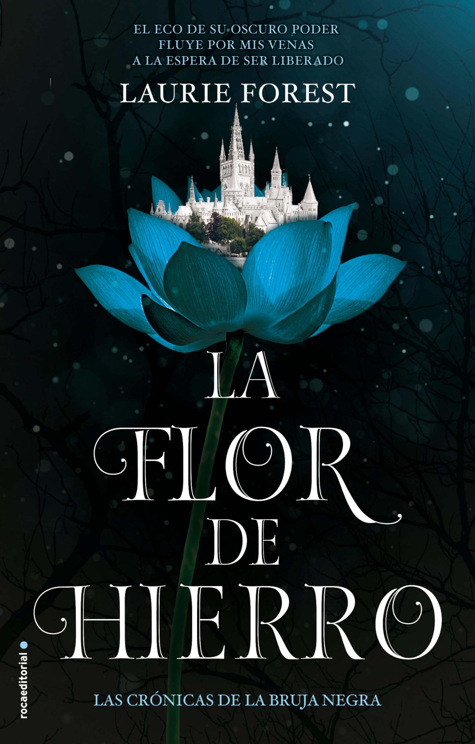 La Flor de Hierro (Las Crónicas de la Bruja Negra 2) (Roca Infantil y Juvenil)