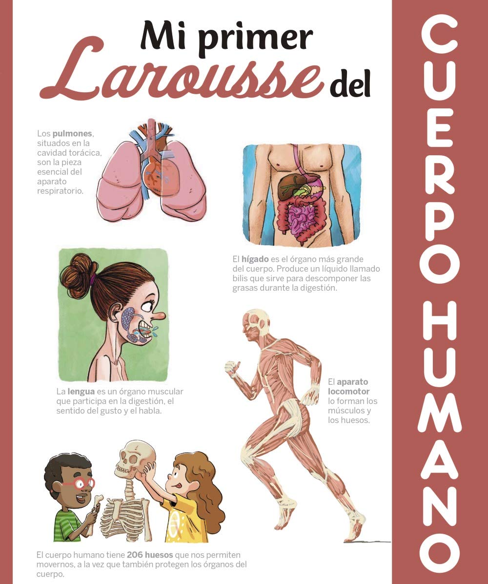 Mi primer Larousse del cuerpo humano (LAROUSSE - Infantil / Juvenil - Castellano - A partir de 8 años)