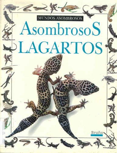 Asombrosos Lagartos