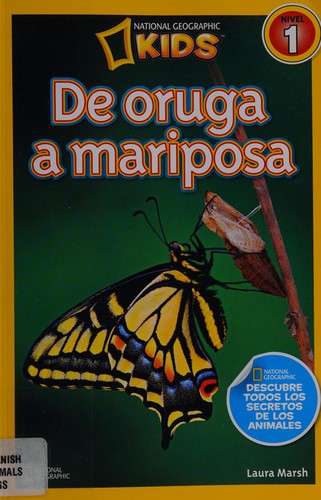 De oruga a mariposa